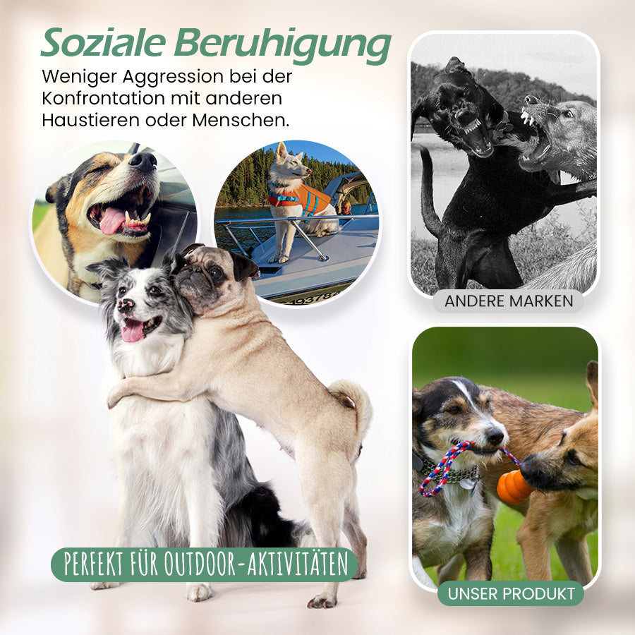 Seurico™Pets InstantCalm Spray