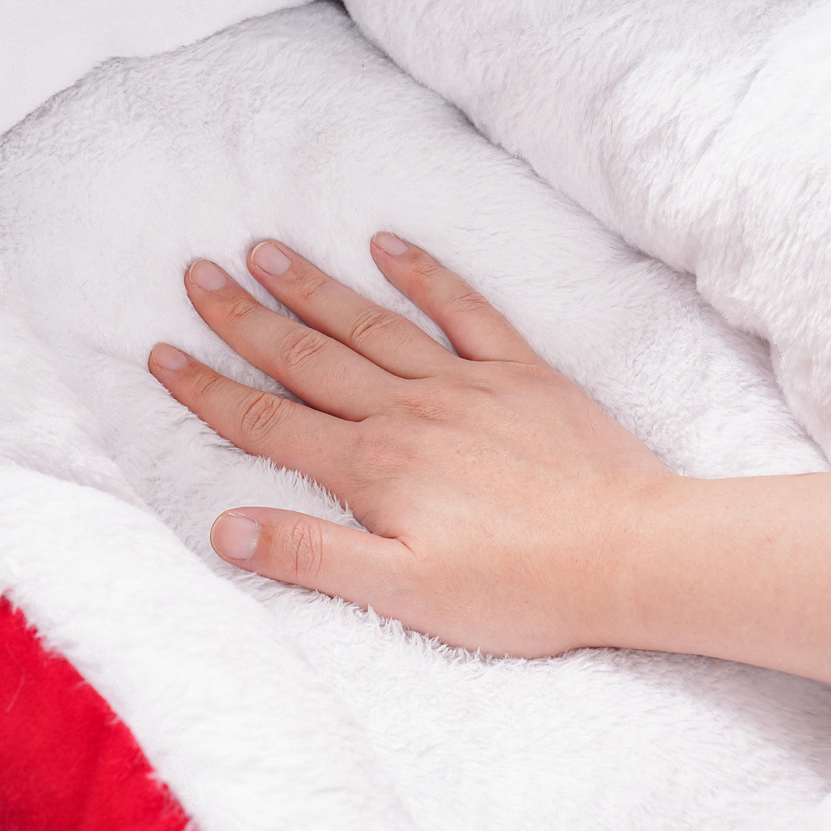 Christmas Sleigh Cat Bed