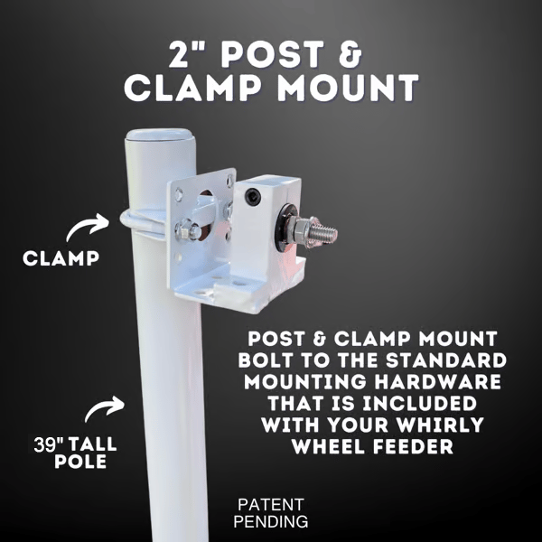 The Ferris Wheel of Fun for Your Feathered Friends