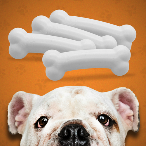 ChewyBone Buddy Toy Bone