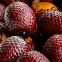 Seurico™ Honey Infused Lip Oil