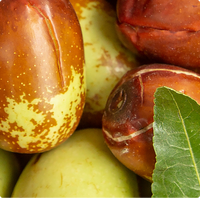 Seurico™ Honey Infused Lip Oil