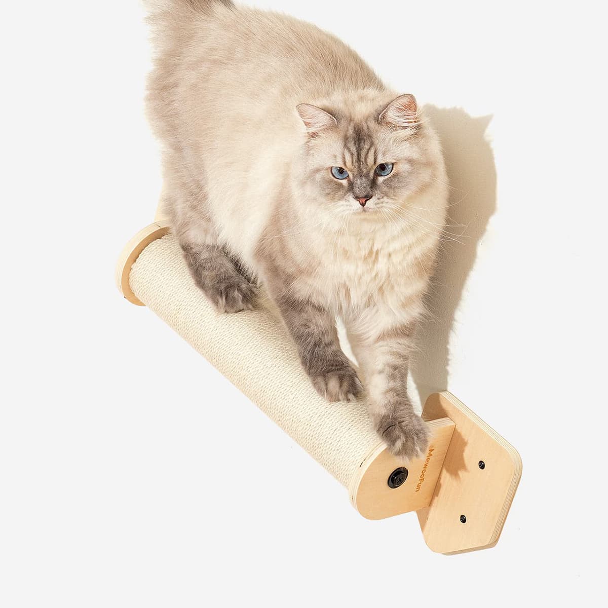 Bushwick Cat Wall Shelves 3 Piece Set