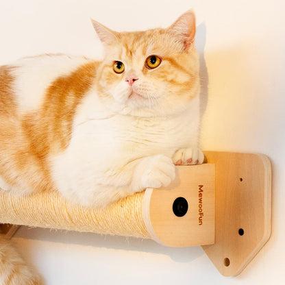 Bushwick Cat Wall Shelves 3 Piece Set