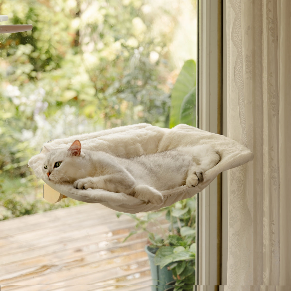 Steinway Cat Window Bed