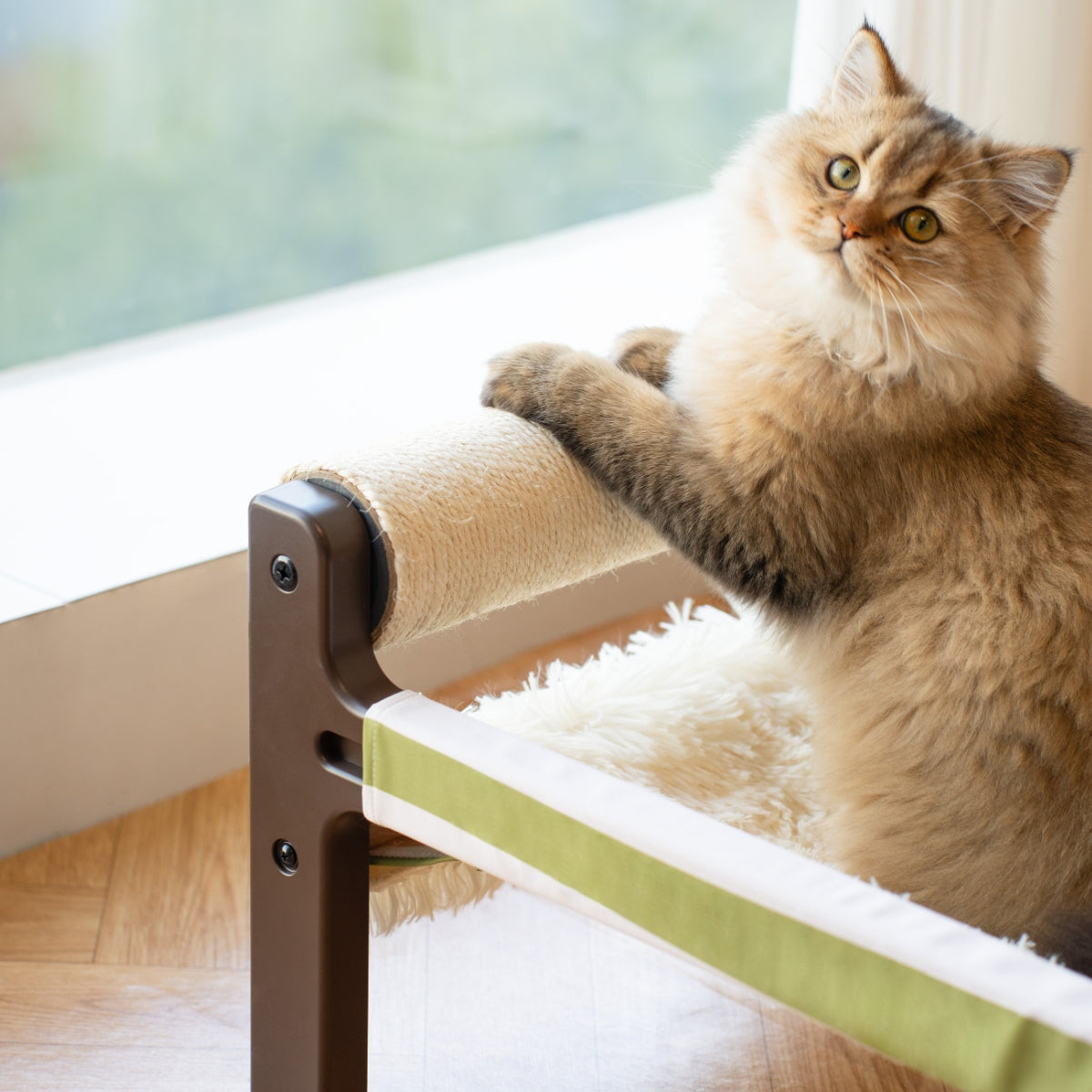 Elevated Cat Bed With Scratching Post