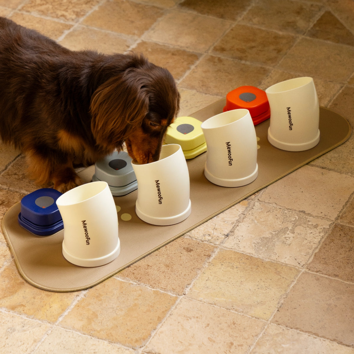 Vibe Classic Talking Button Kit Achiever