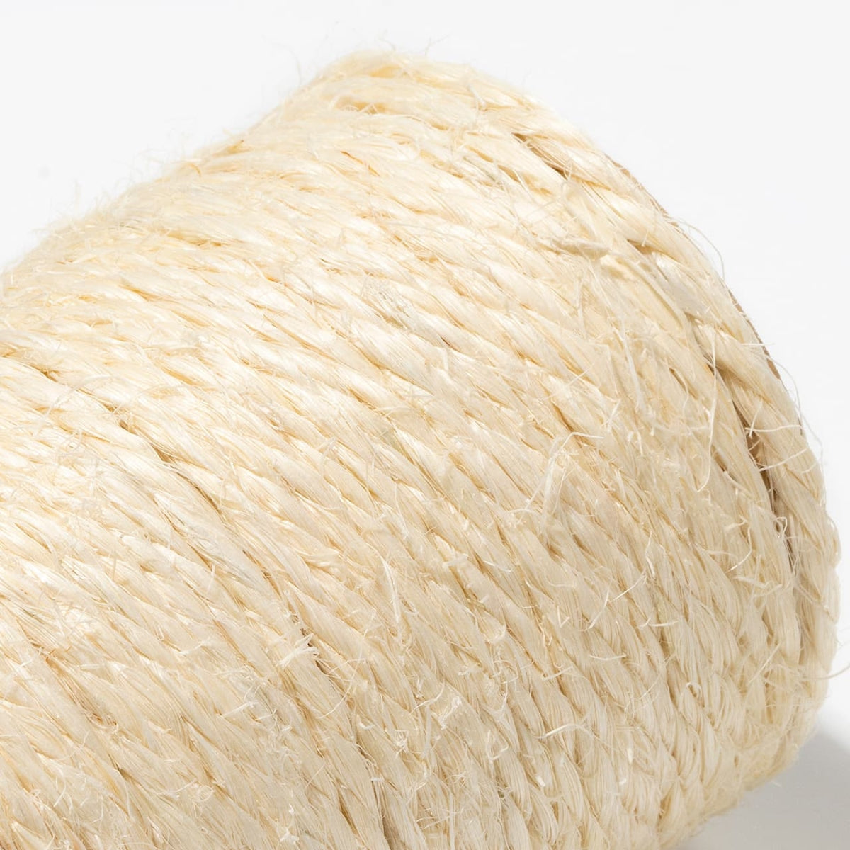 Bushwick Cat Scratcher