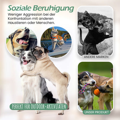 Seurico™Pets InstantCalm Spray