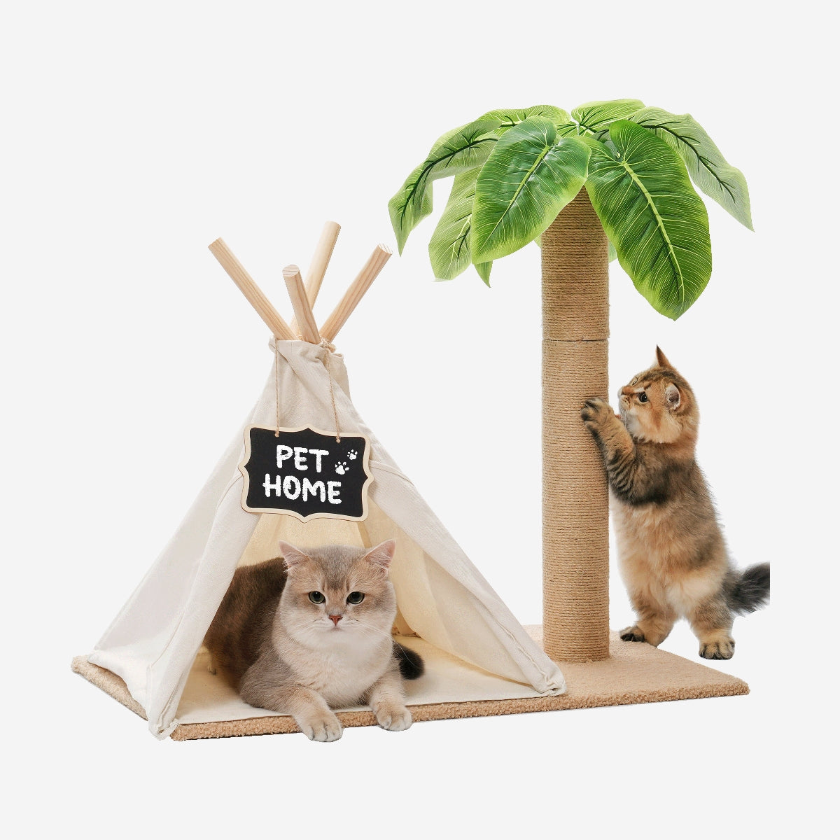 Cat Teepee Bed with Scratching Post