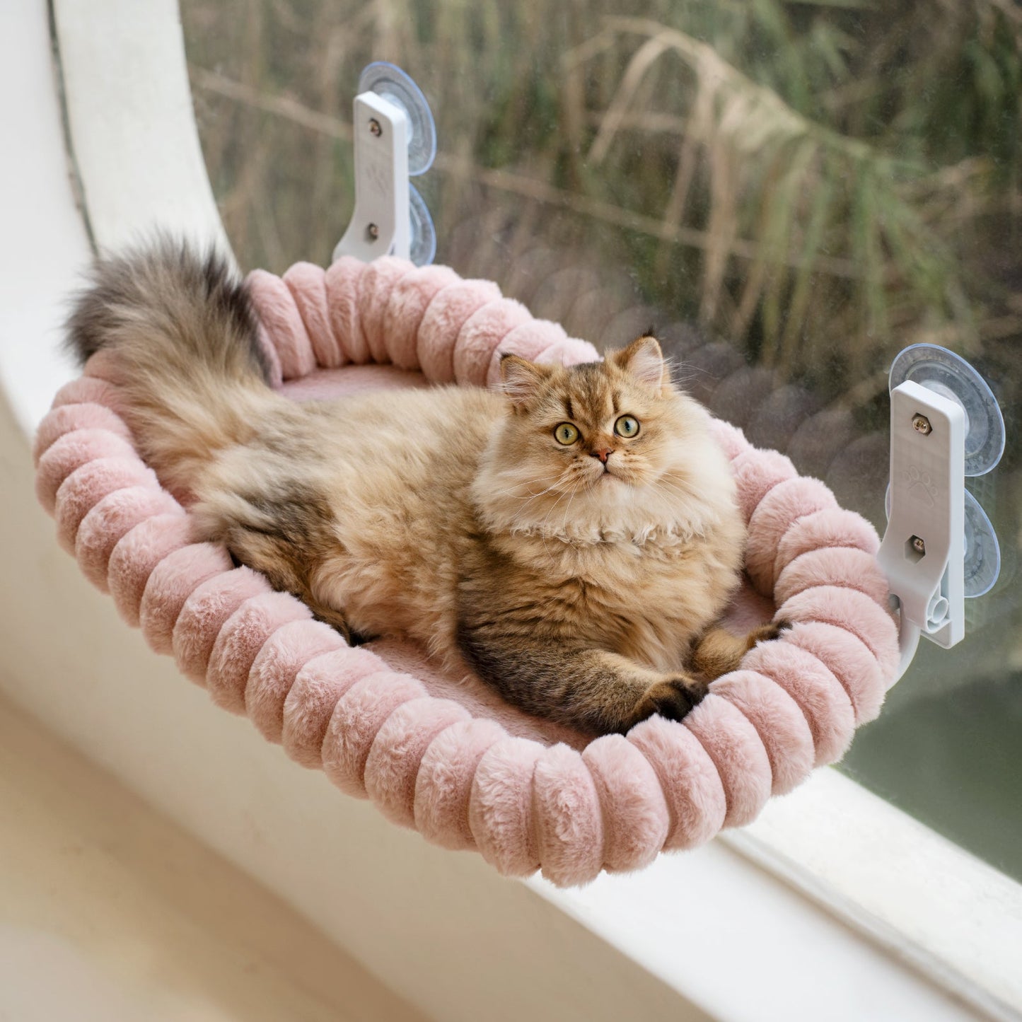 Aspen Foldable Cat Window Perch Pro